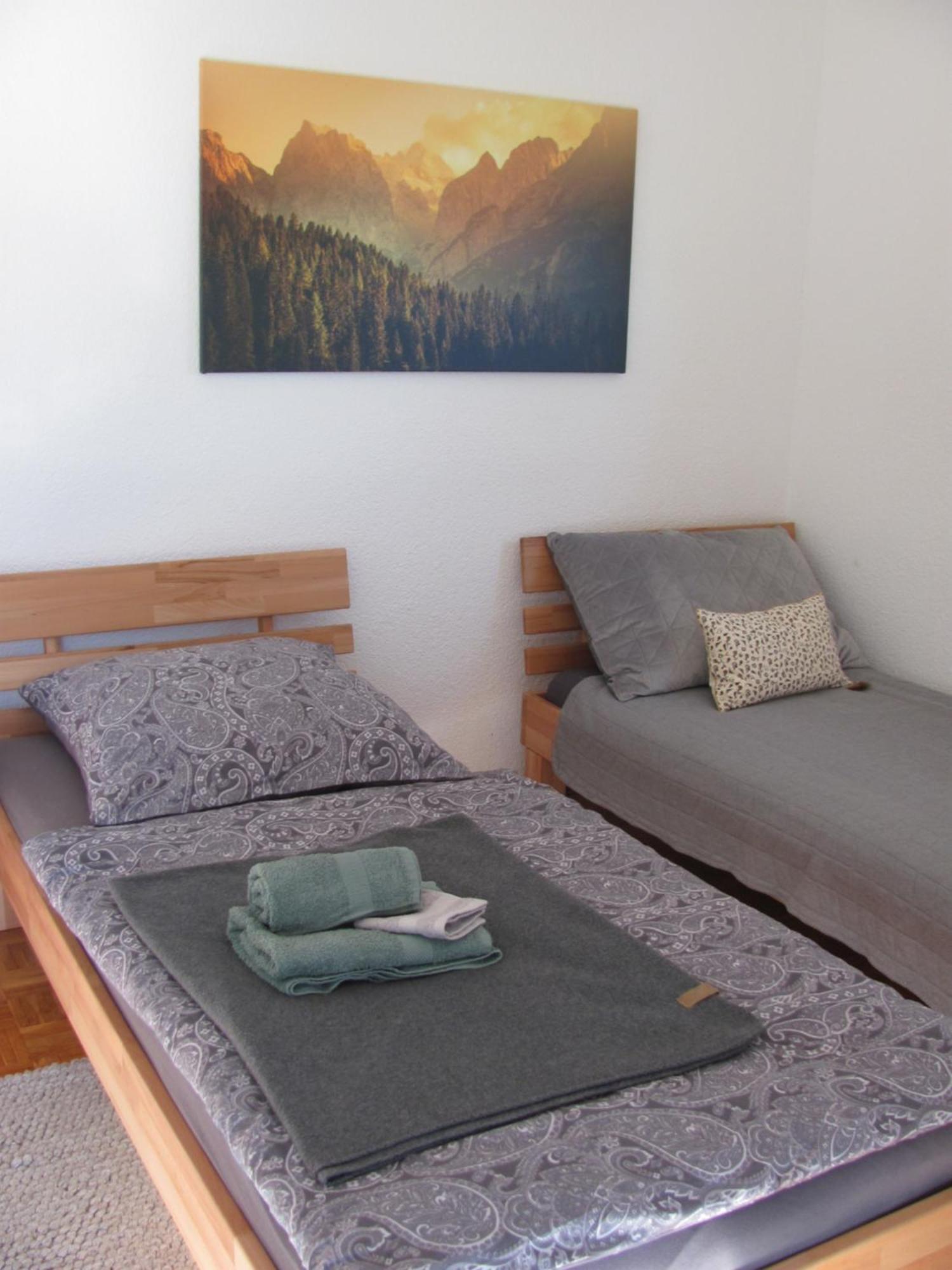 #1Gemuetliches Ruhiges Sonniges Balkonzimmer Mit Gemeinschaftsbad W-Lan Airport Nah Late Night Check In Haus Nr 9,5 Trunkelsberg المظهر الخارجي الصورة