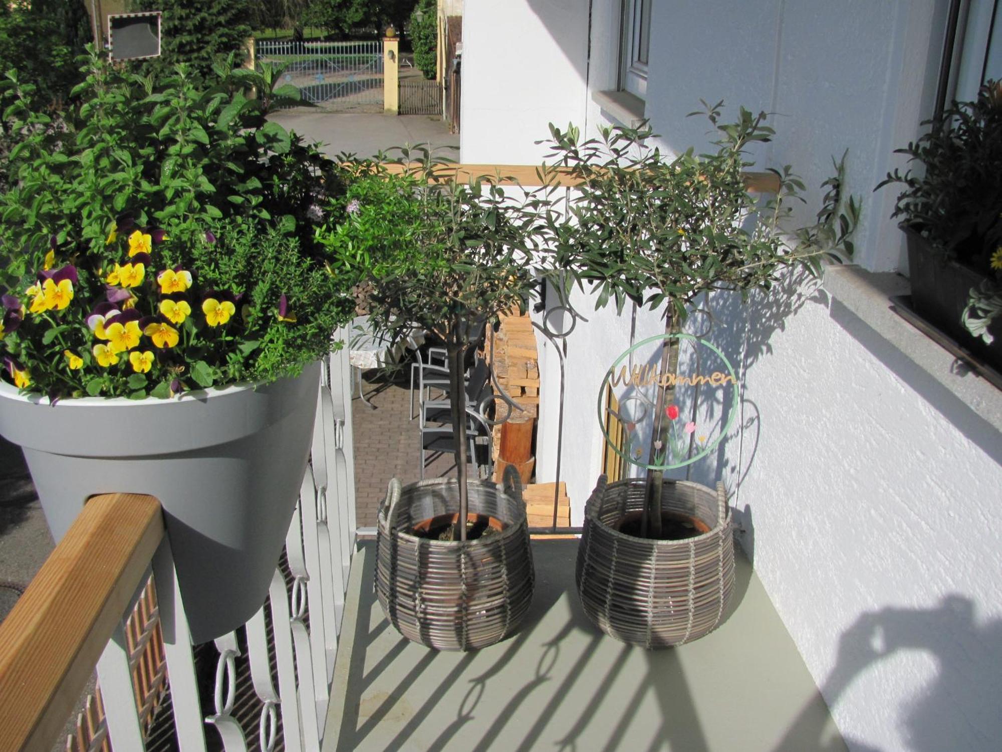 #1Gemuetliches Ruhiges Sonniges Balkonzimmer Mit Gemeinschaftsbad W-Lan Airport Nah Late Night Check In Haus Nr 9,5 Trunkelsberg المظهر الخارجي الصورة